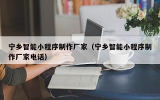 那曲宁乡智能小程序制作厂家（宁乡智能小程序制作厂家电话）