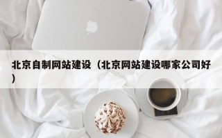 那曲北京自制网站建设（北京网站建设哪家公司好）