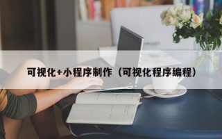 那曲可视化+小程序制作（可视化程序编程）